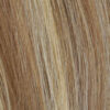 R12/26H-Light Brown with Golden Blonde Highlights