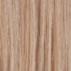 R140/14-Spring Honey Blonde / Dark Blonde Blend