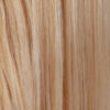 R613/24H-Pale Golden Blonde / Light Ash Blonde Highlights