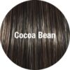 Cocoa Bean