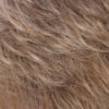 HONEYTOAST Light Brown with Pale Golden Blonde Highlights