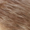 R14/26H-Dark Blonde with Golden Blonde Highlights