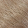 R16/22-Honey Blonde / Light Ash Blonde Blend