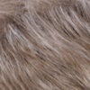 R17/101- Ash Brown / Platinum Blonde Blend